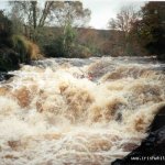 Avonmore (Annamoe) River - Kevin Power with plenty water