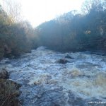 Photo of the Kip (Loughkip) river in County Galway Ireland. Pictures of Irish whitewater kayaking and canoeing. The long rapid below the slide on the kip.. Photo by Seanie